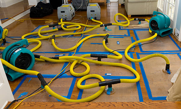 Professional Crawl Space Water Removal technician working in Stockton, IL